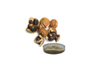 Camellia Seed Extract