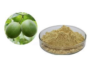 Luo Han Guo Extract/Monk Fruit Extract/Organic Monk Fruit