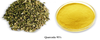 Quercetin/Sophora Japonica Flower Extract